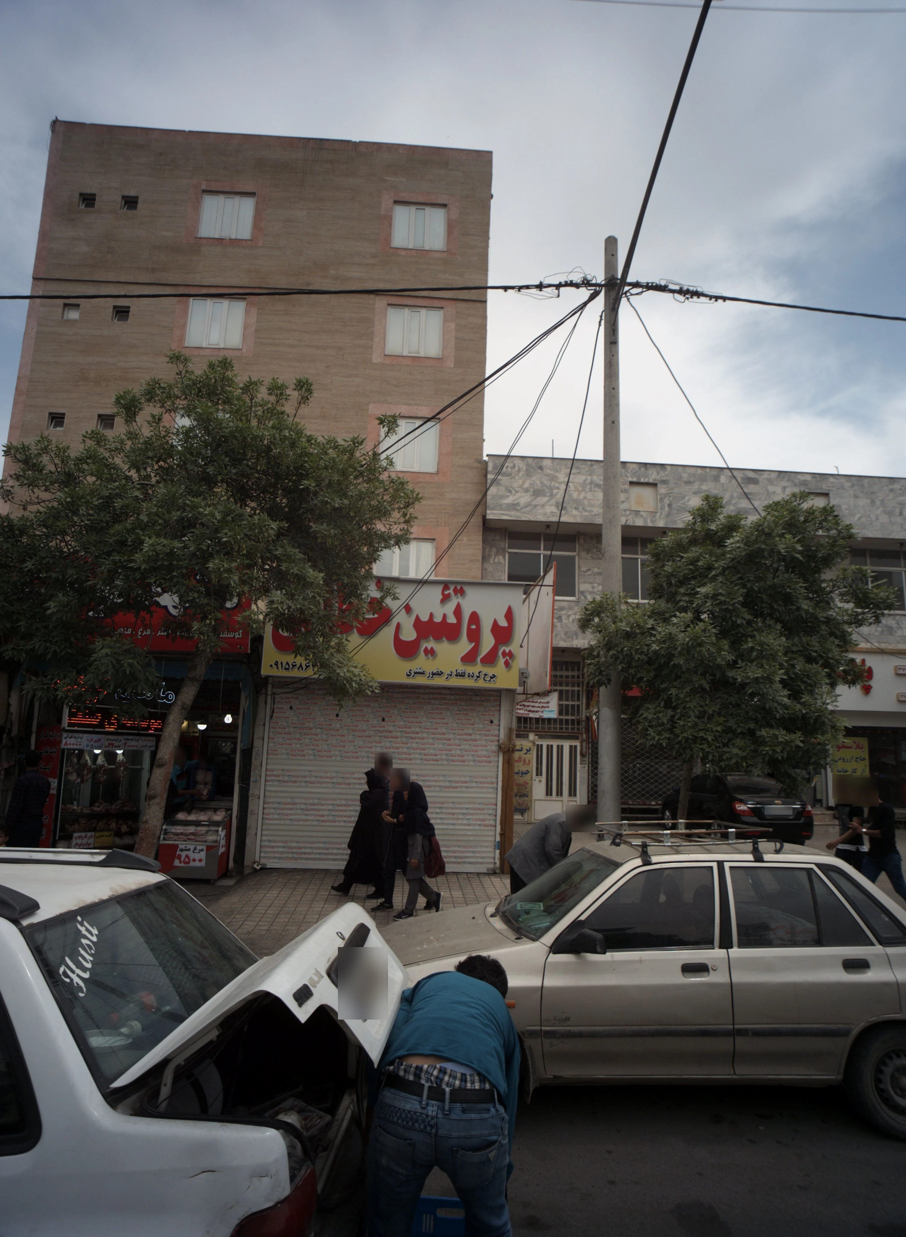 پخش مرغ برادران شهمیری (پروتئین خطایی) - گوشت، مرغ و پروتئینی در مشهد