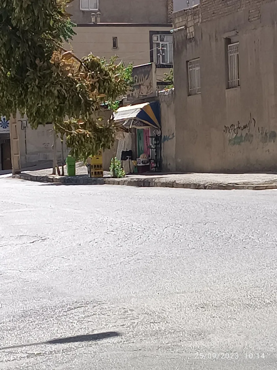 سوپرمارکت سعید - تصویر 4