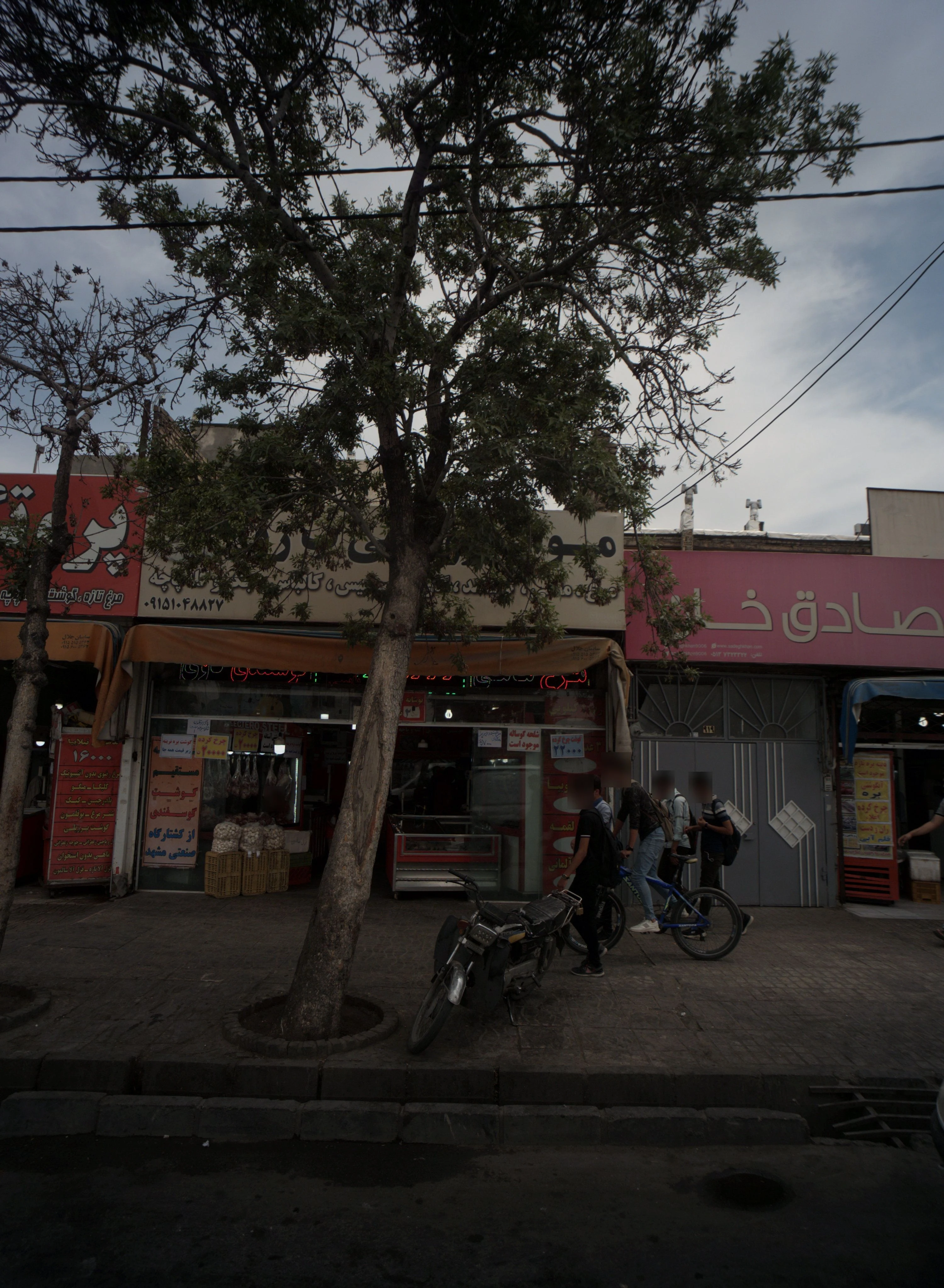 مواد پروتئین - گوشت، مرغ و پروتئینی در مشهد