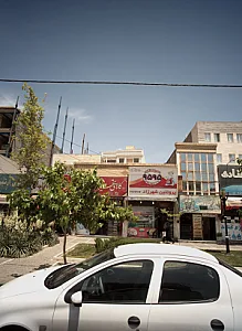 پروتئین شهرزاد
