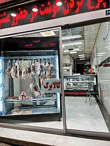 پروتئین منتظران