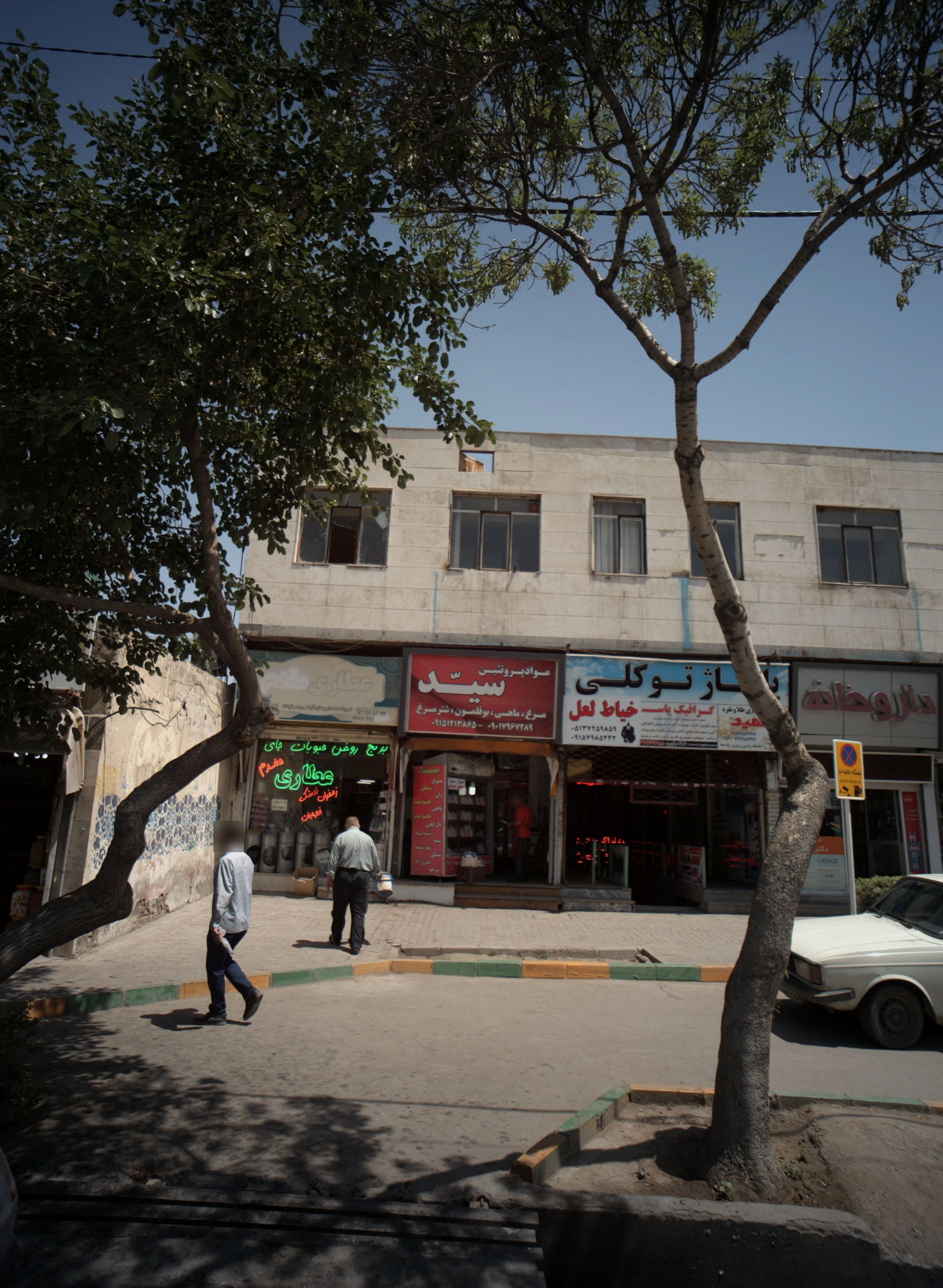مواد پروتئین سید - گوشت، مرغ و پروتئینی در مشهد