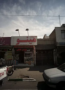 پروتئین مینو