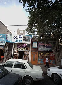 پروتئین محمد