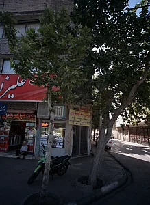 پروتئین سپید گوشت نوین