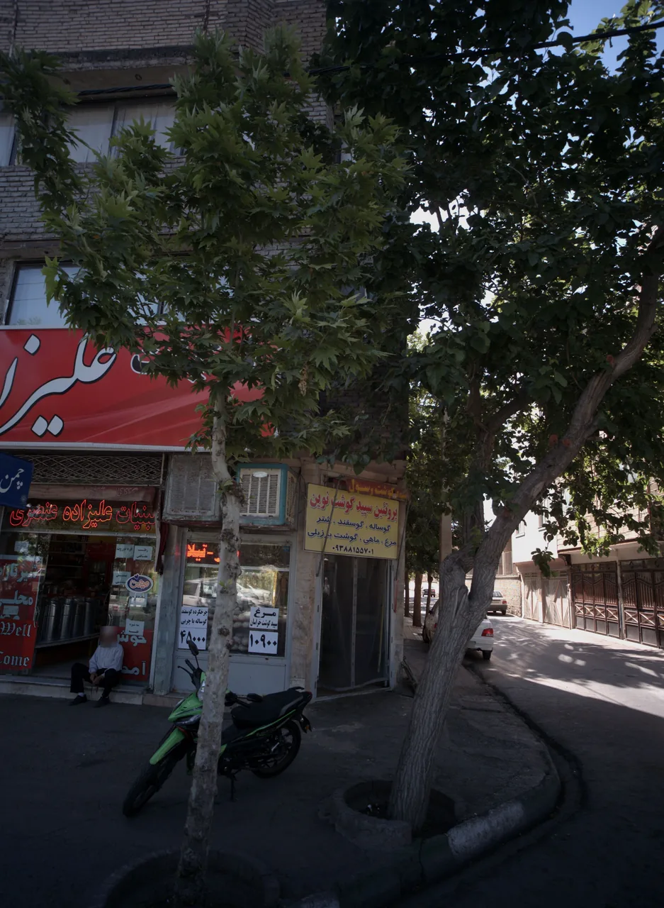 پروتئین سپید گوشت نوین