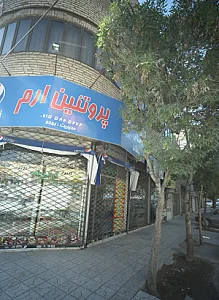پروتئین ارم