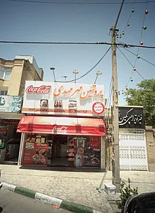 پروتئین مهر مهدی