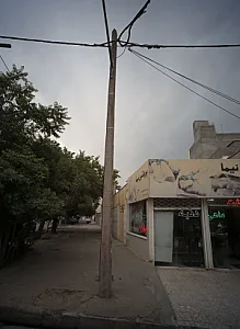 پروتئین نیما