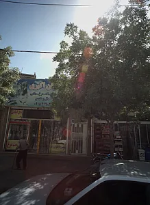 پروتئین برادران اکبری