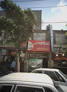 مرغ پردیس