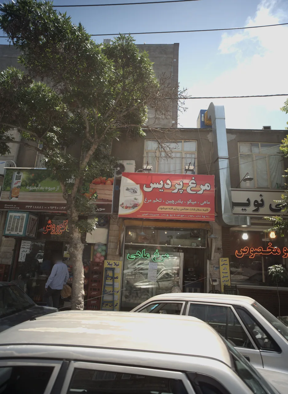 مرغ پردیس