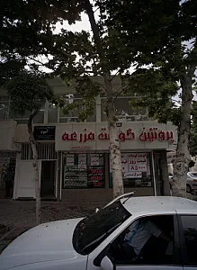 پروتئین گوشت مزرعه