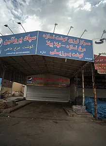 سپاد پروتئین مداح