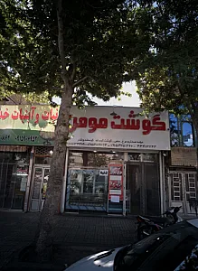 گوشت مومن