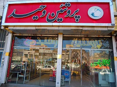پروتئین وحید