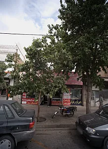 مرغ ماهی