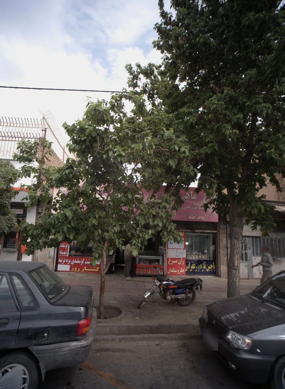 مرغ ماهی