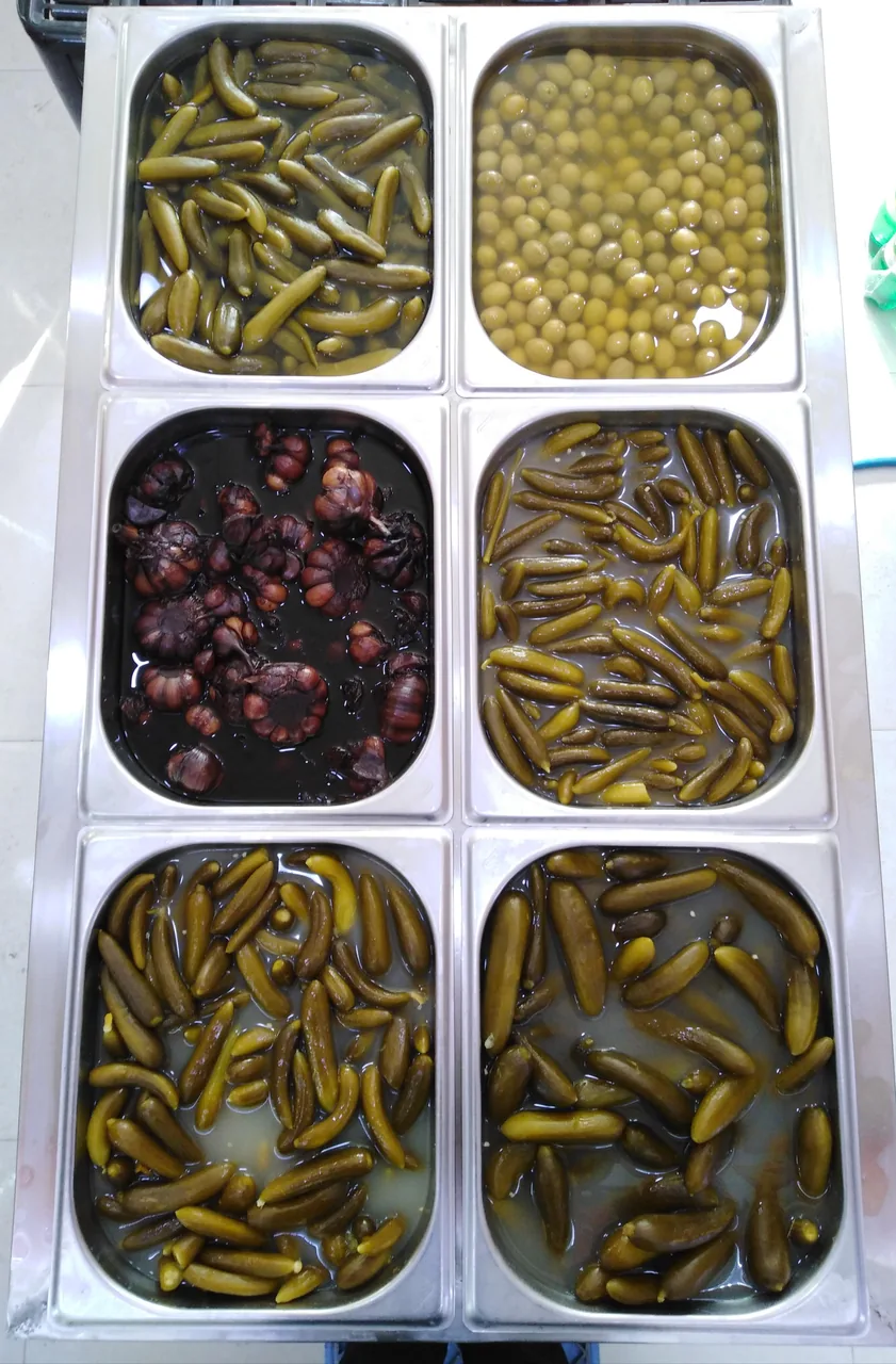 پروتئین مزه