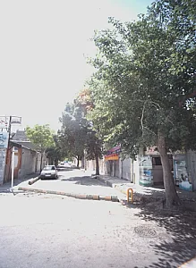 تهیه گوشت روز