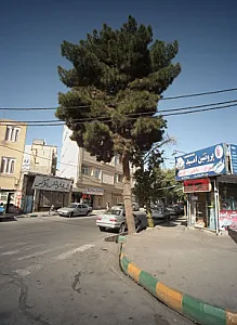 پروتئین امید