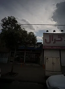 گوشت سالم