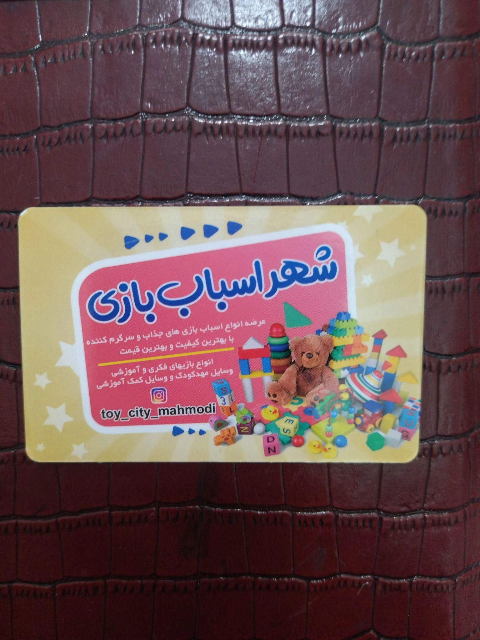 شهر اسباب بازی محمودی شناس - اسباب‌بازی و بازی فکری در همدان - تصویر 2