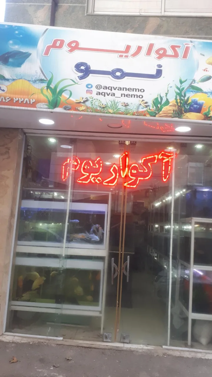 فروشگاه آکواریوم نمو - تصویر 2