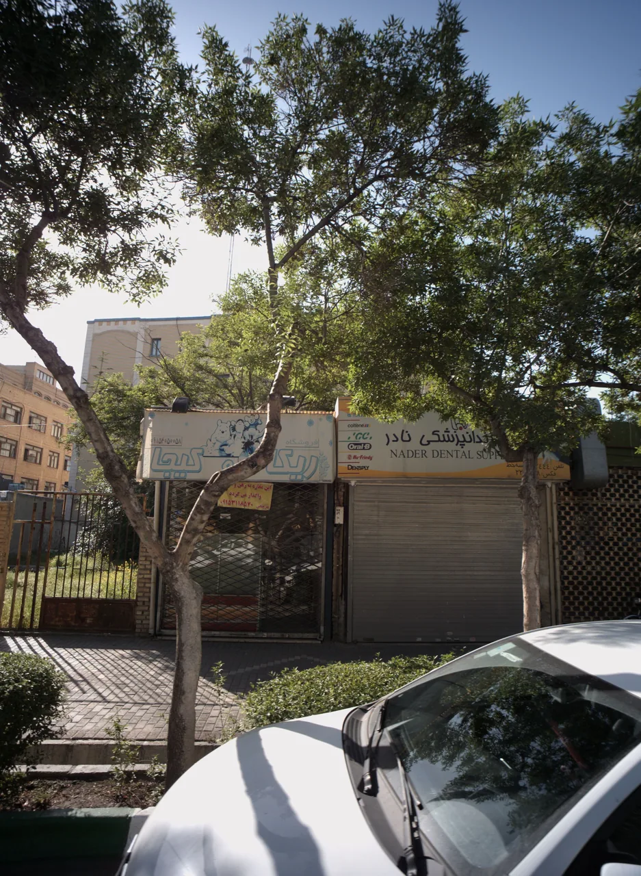 کالای دندانپزشکی نادر - تصویر 2