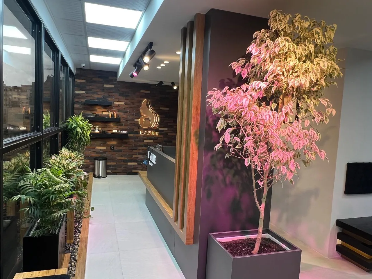 کلینیک زیبایی کاژه - تصویر 2