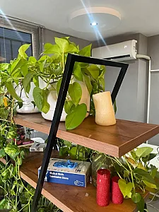 کلینیک زیبایی و لاغری دانژه