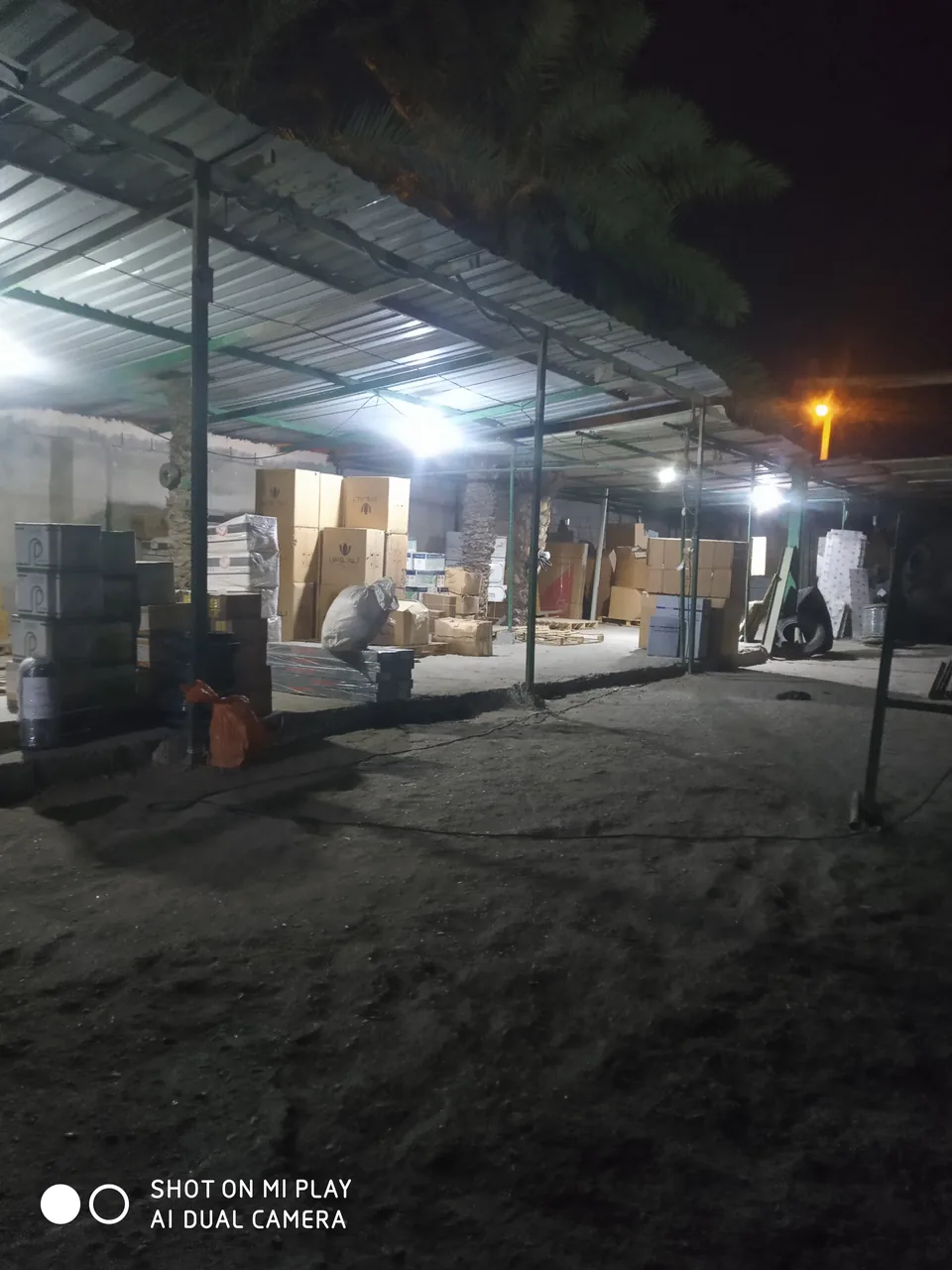 باربری پیشتاز بندر