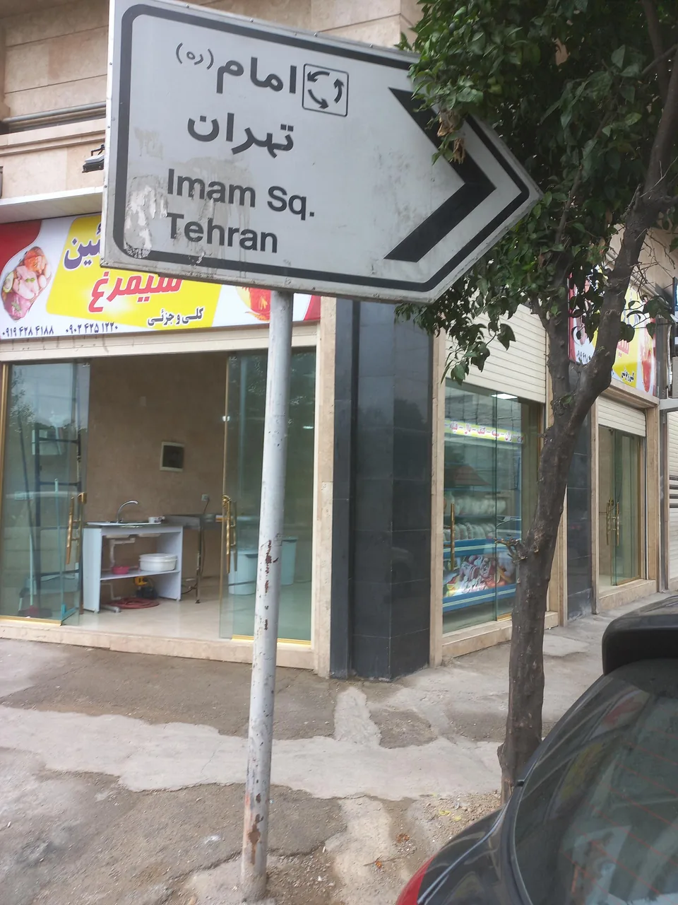 مرغ و پروتئین سیمرغ - تصویر 2