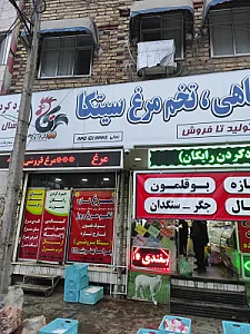پروتئینی سیتکا