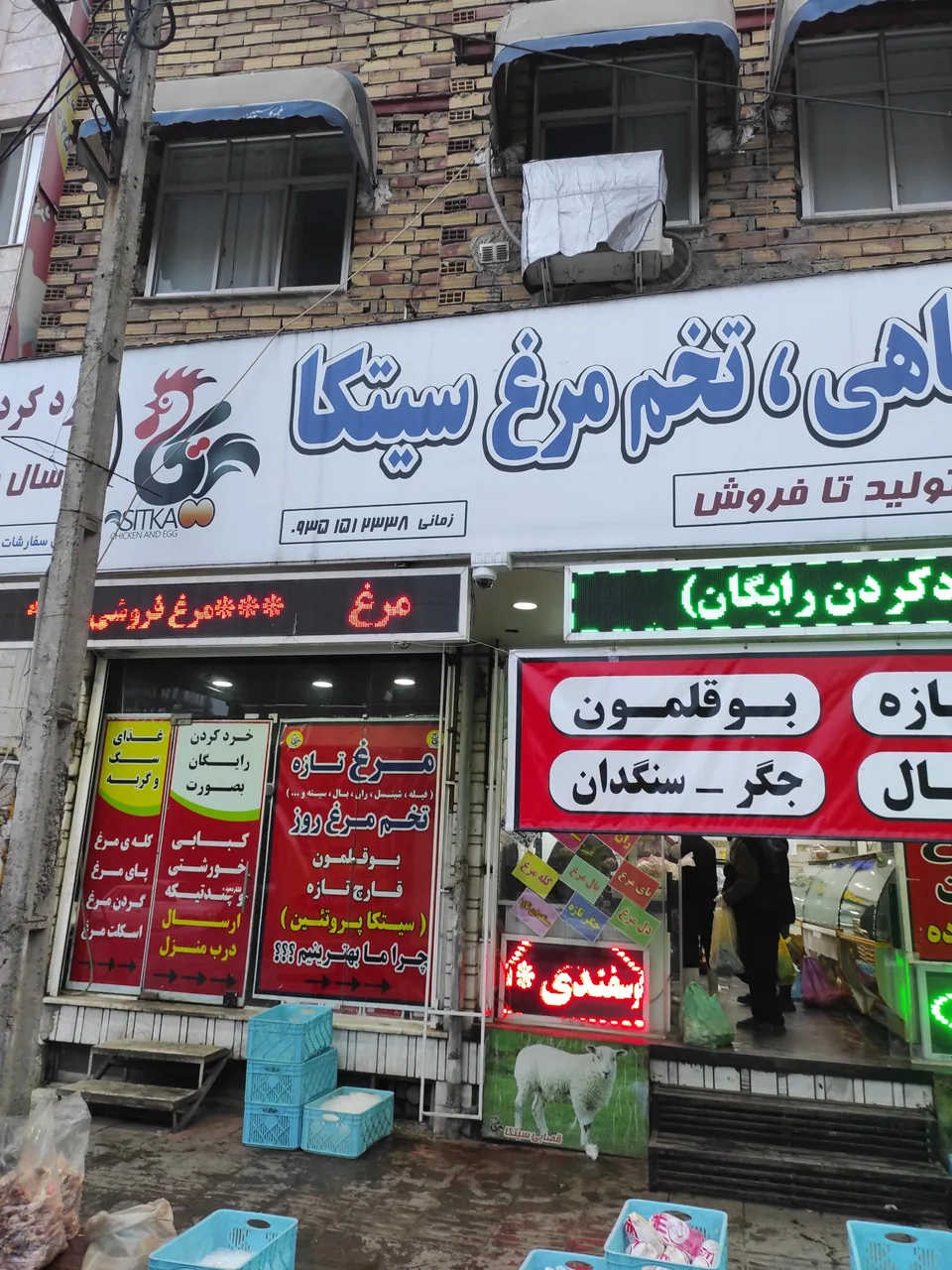 پروتئینی سیتکا