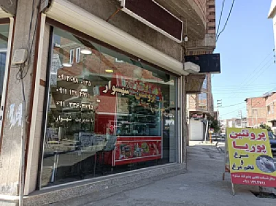 پروتئین پوریا نمایندگی مرغ ساوانا
