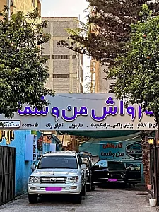 کارواش من و شما