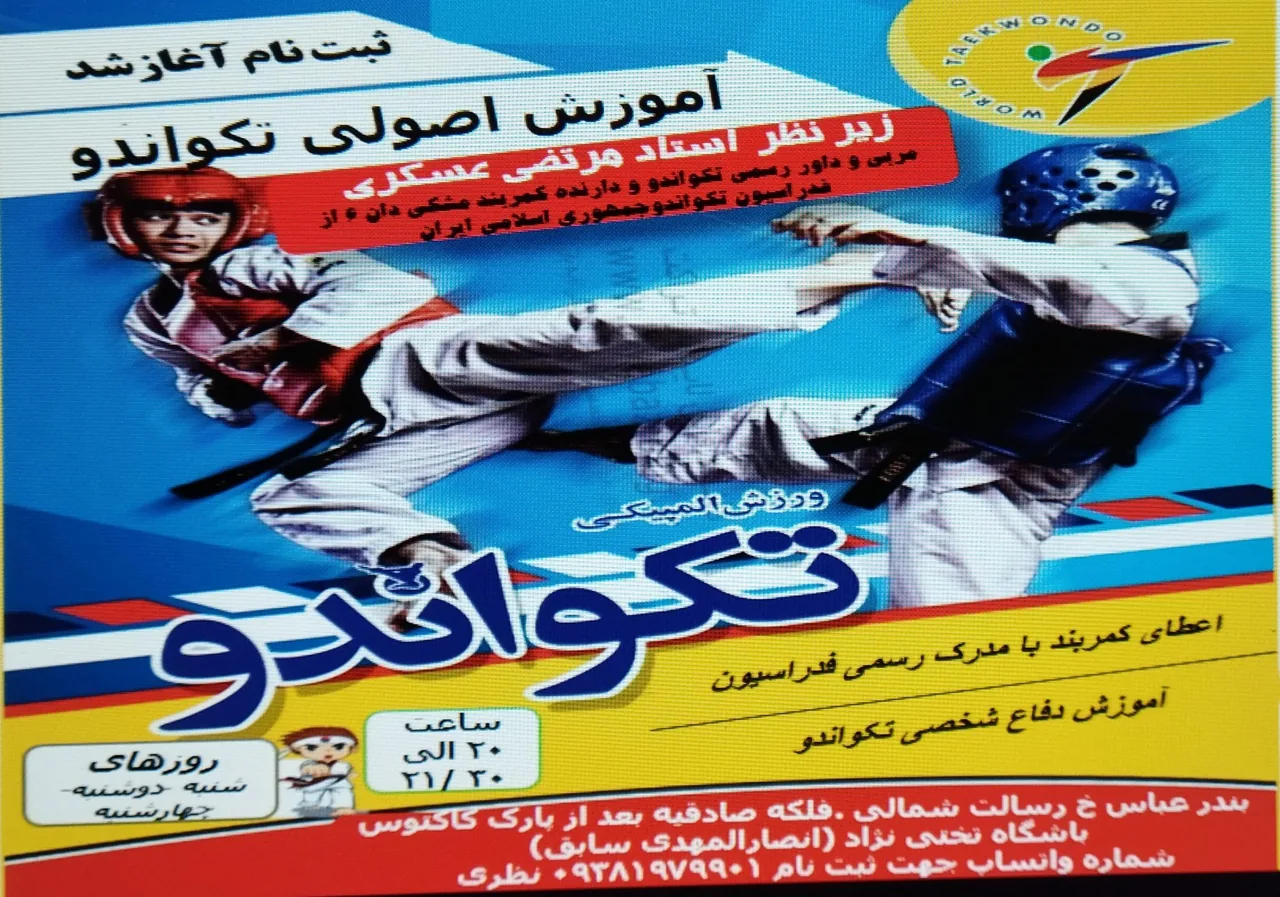 باشگاه انصارالمهدی جودو و تکواندو - تصویر 3