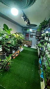 گلفروشی اراک کاکتوس