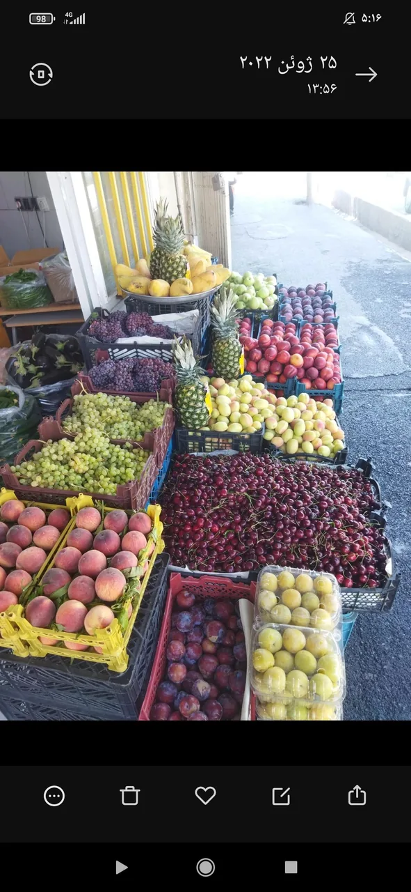 هایپر میوه باغبان