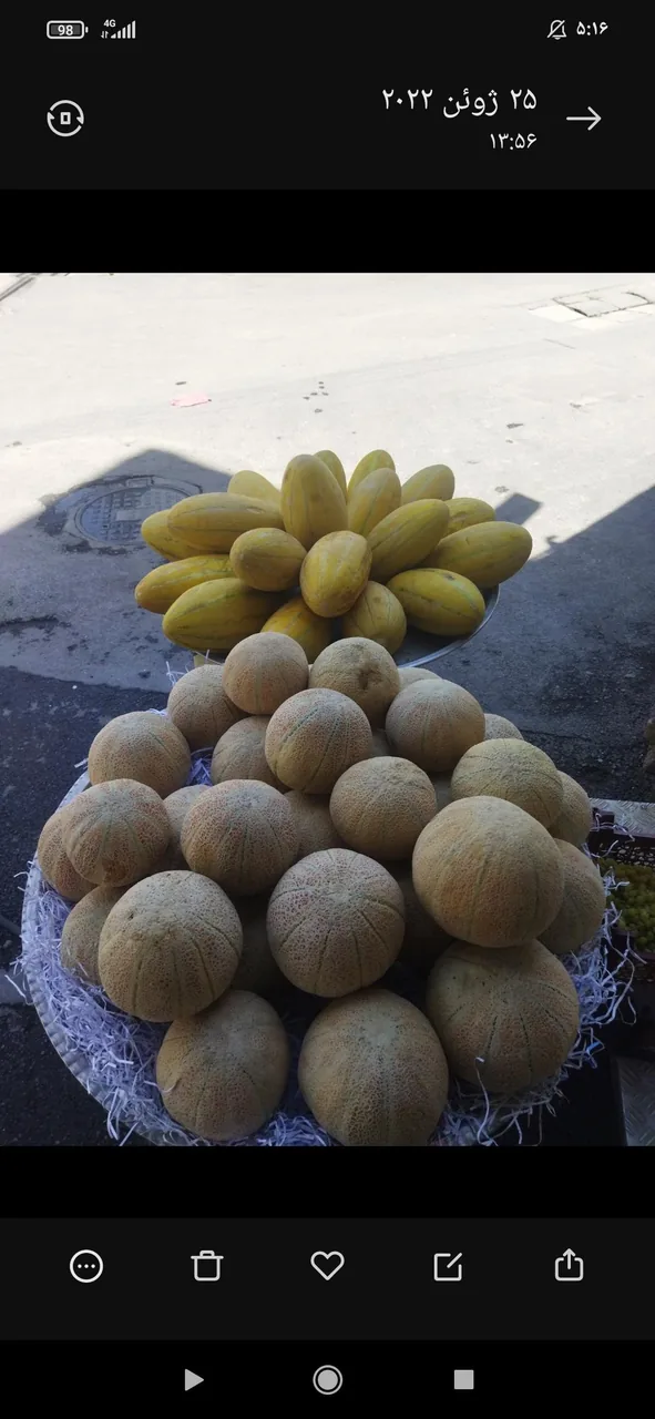 هایپر میوه باغبان - تصویر 3