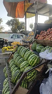 میوه فروشی استقلال