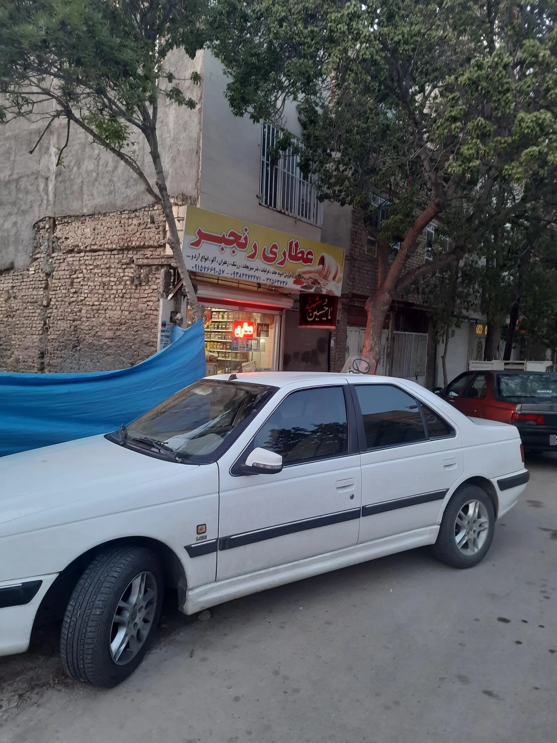 گیاهان دارویی لپه ئیان - طب سنتی و عطاری در مشهد