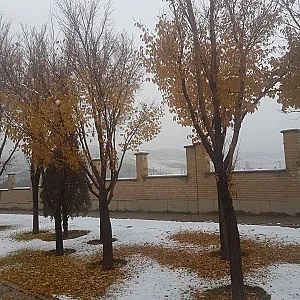 کلینیک دکتر نسرین آذربانی ، دکتر بهارک تاثریان