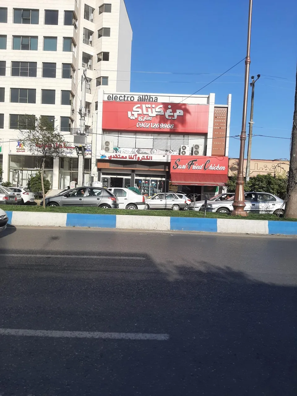 مرغ کنتاکی ساری - تصویر 2