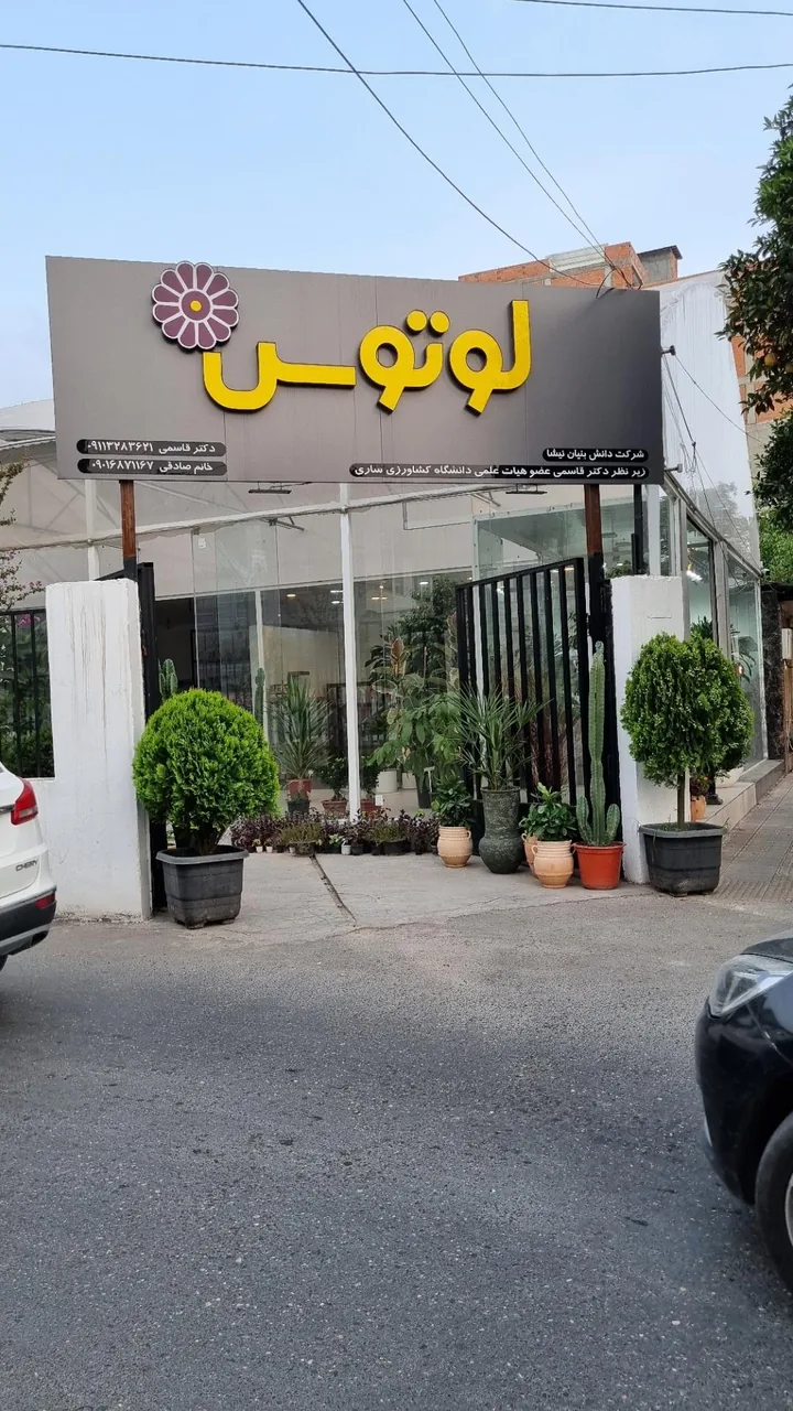 گل فروشی لوتوس - تصویر 2