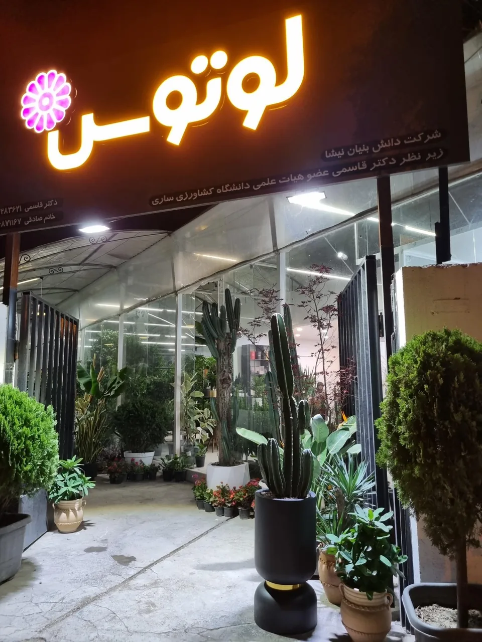 گل فروشی لوتوس - تصویر 3