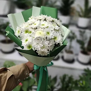 گلفروشی رزگل