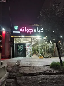 گل و گیاه جوانه