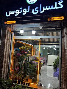 گل فروشی لوتوس